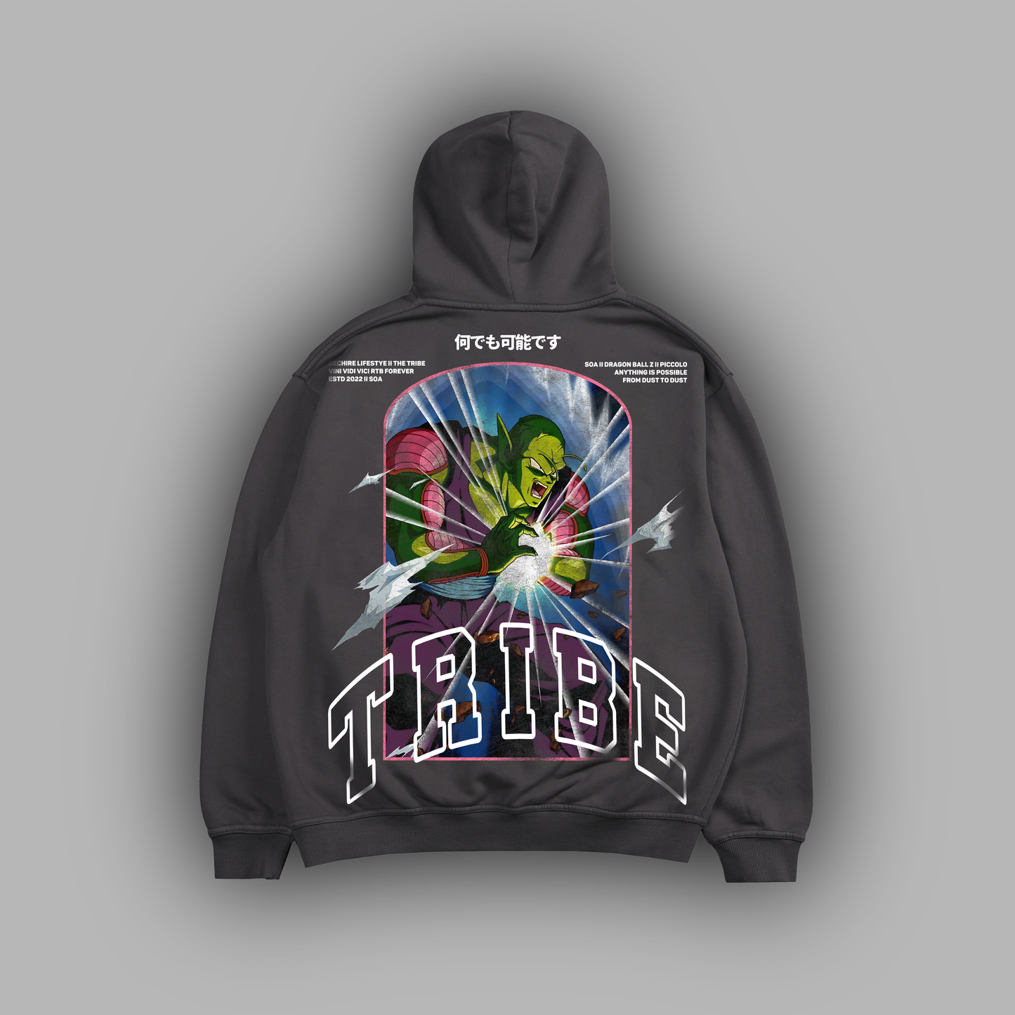 SPECIAL BEAM CANNON DL:MADE 4060 TERRY HOODIE IN STEEL ASH