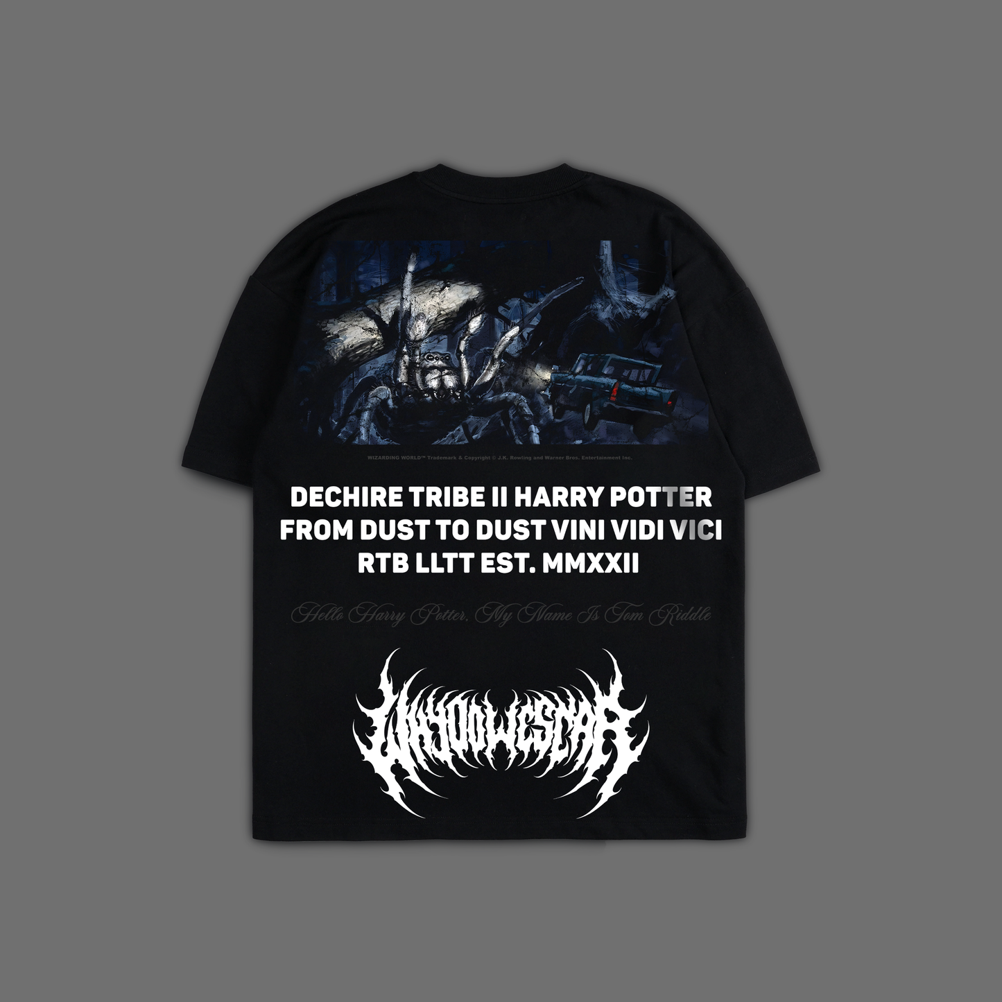 CHAMBER OF SECRETS 'LIMITED' OVERSIZED TEE IN BLACK