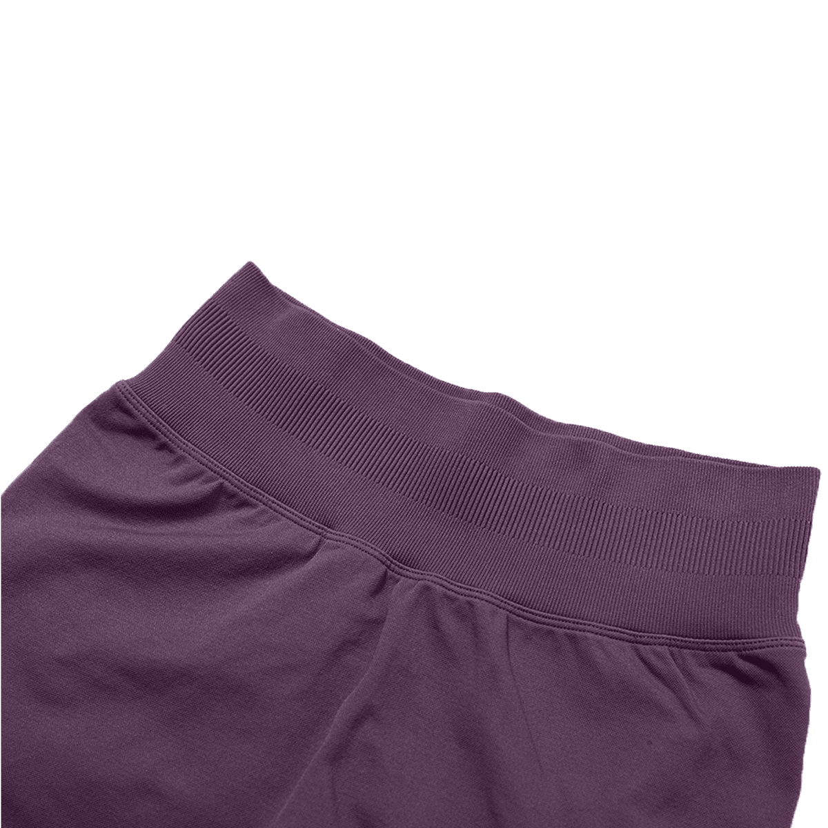 'dēmentō' DLFemme™ SEAMLESS MID-WAIST SHORTS IN PLUM