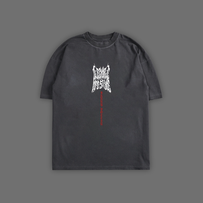 DOBBY, A FREE ELF 'LIMITED' OVERSIZED TEE IN CHARCOAL