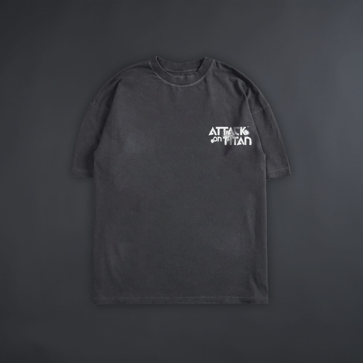 ERWIN vs. BEAST 'LIMITED' 8oz OVERSIZED TEE IN SLATE GRAY